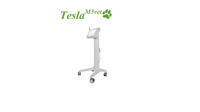 M3 Vet6